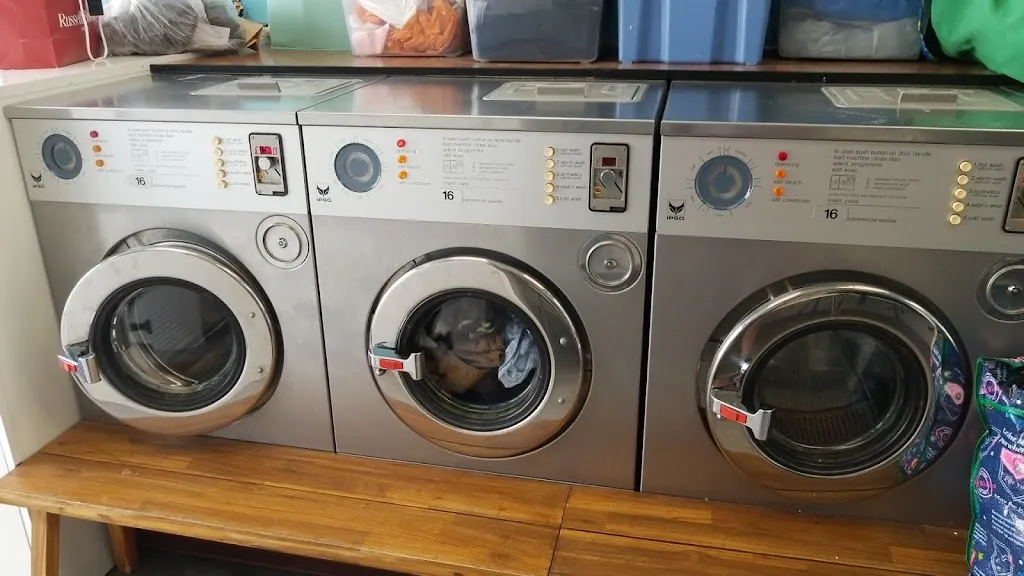 Lily's Laundrette
