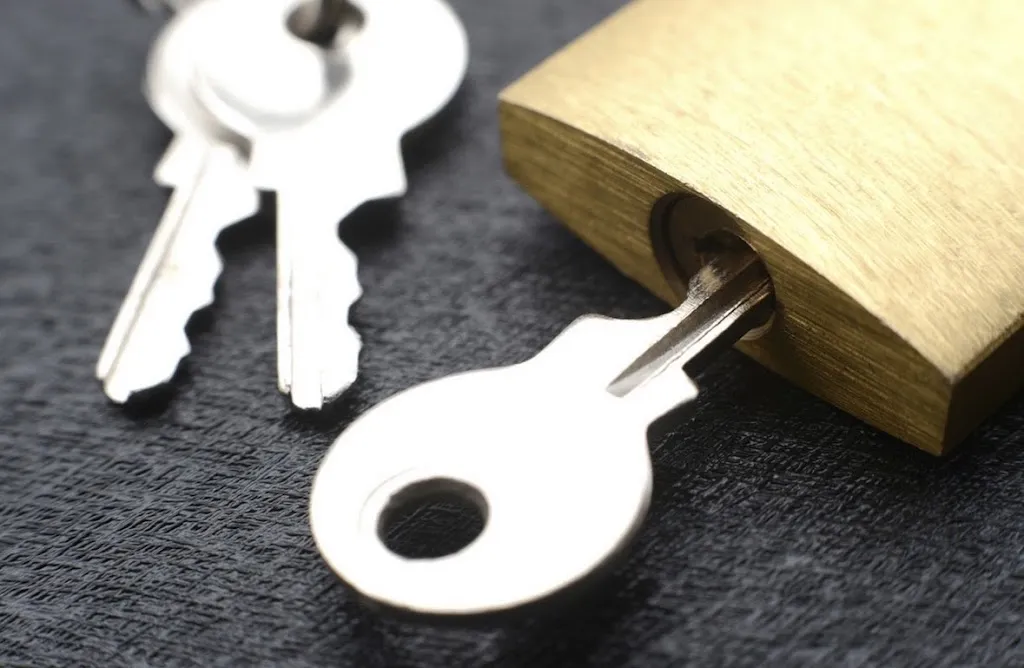 Luna Locksmith Barnes