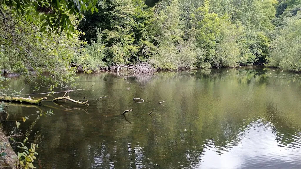 Moat Mount Open Space