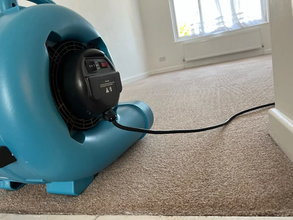 PRO TOUCH CLEAN LTD