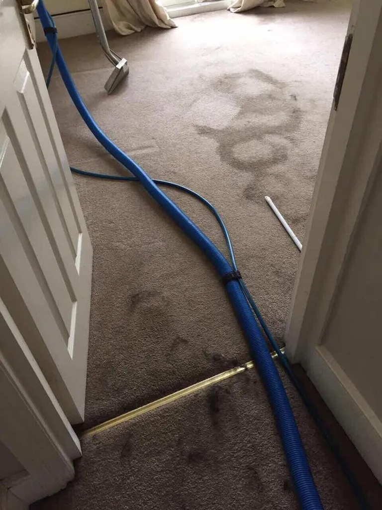 Professional steam cleaning