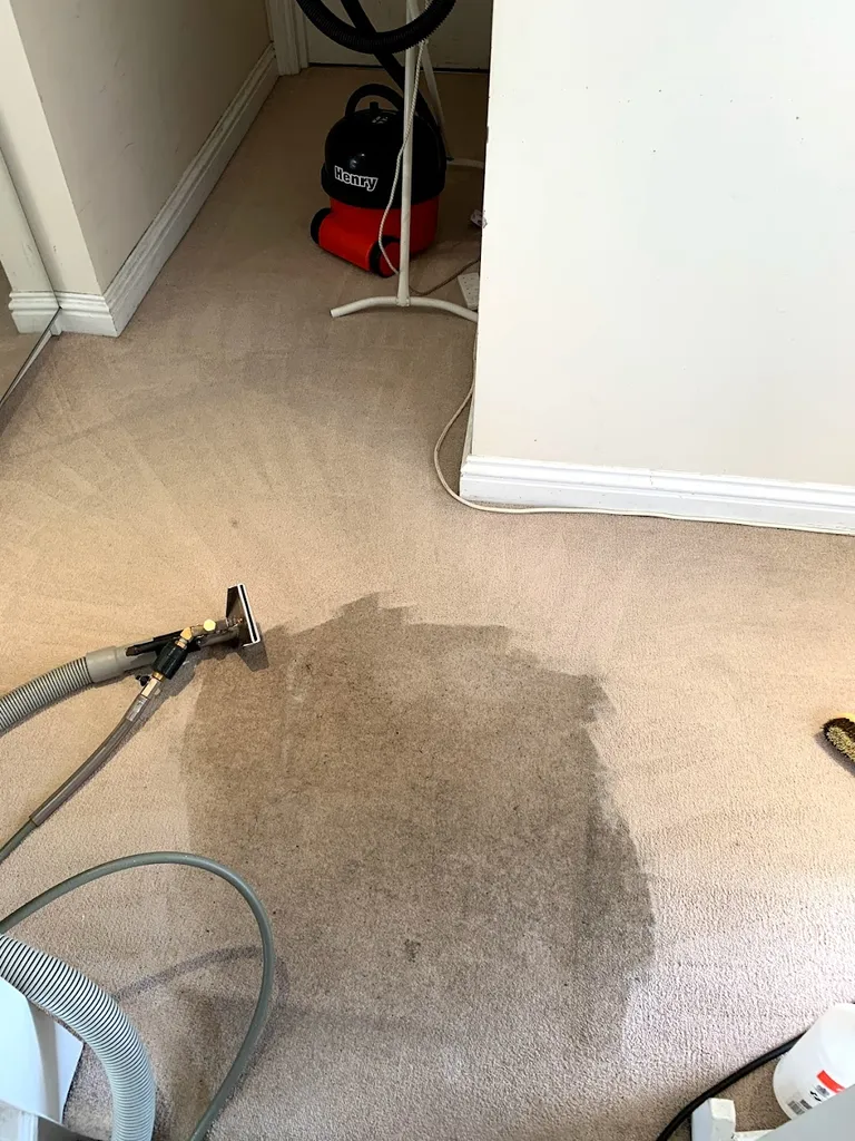 Ralph & Son Cleaning Ltd
