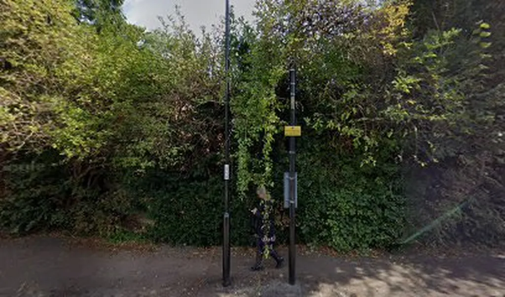 Reedham Drive (Stop RQ)