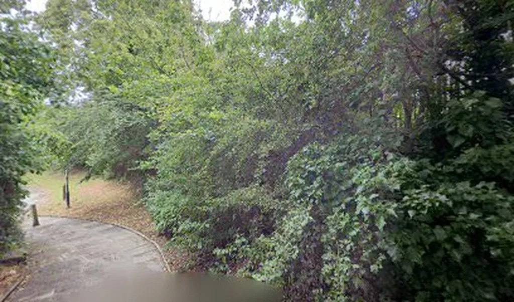 Sue Whimster Curtains Ltd