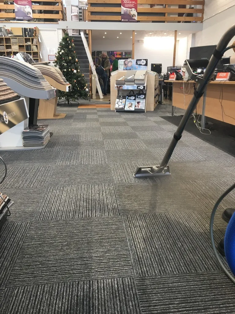 The Professional Cleaning Co