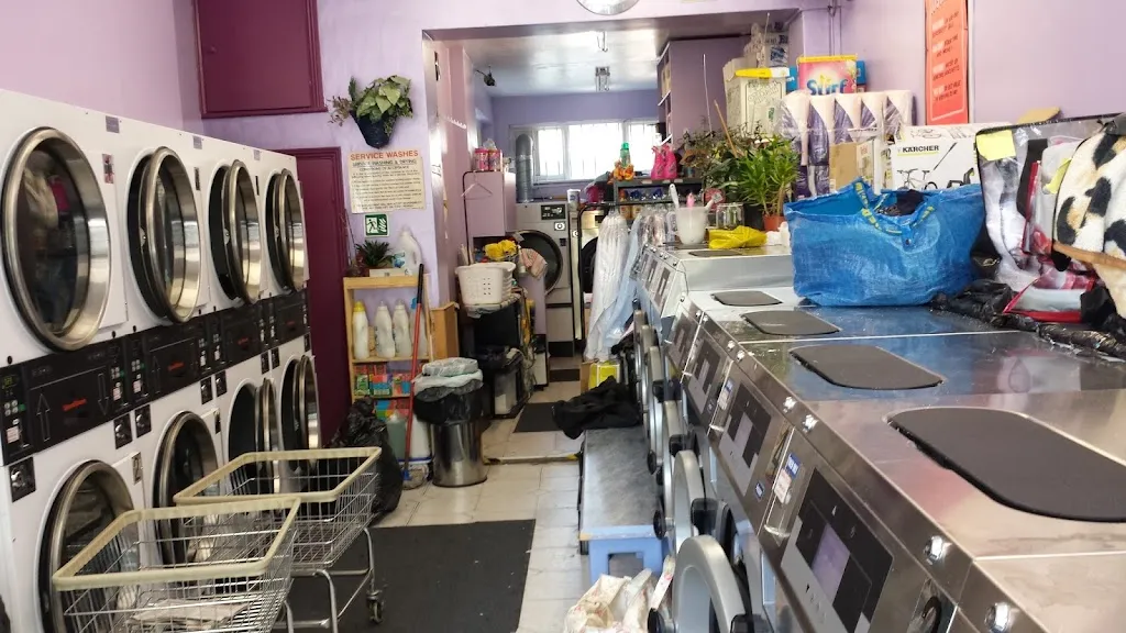 Wash 'n' Roll