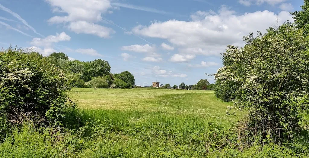 A40 Fields Woods