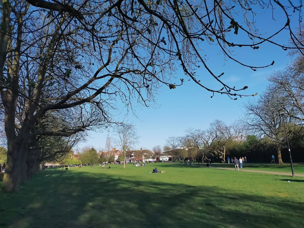 Acton Green Common