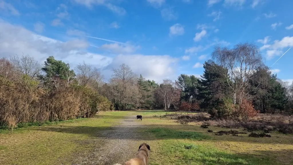 Addington Hills