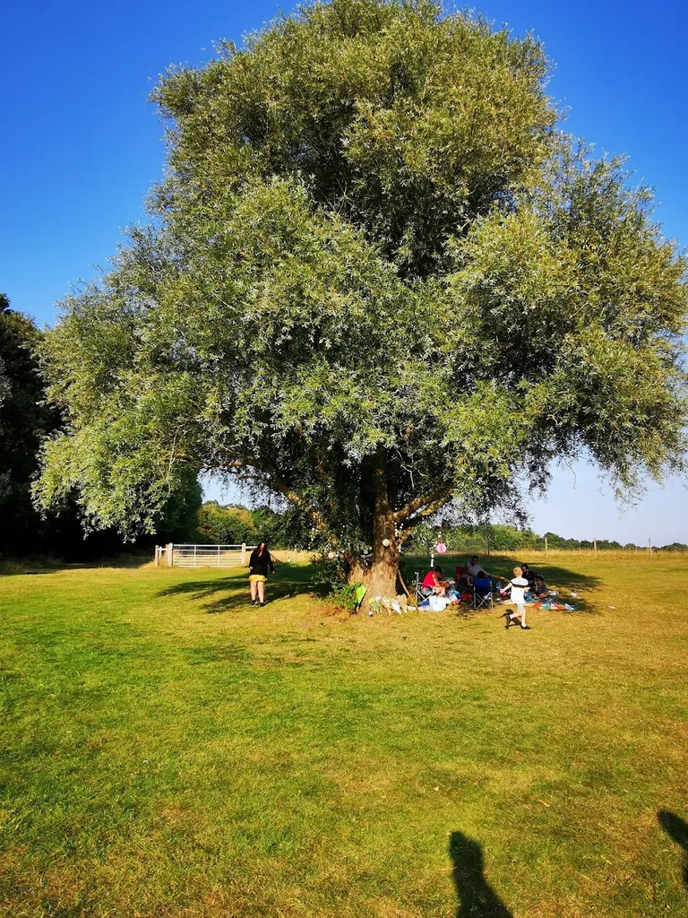 Alfie's memorial