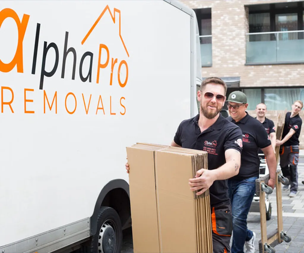 Alpha Pro Removals Ltd.
