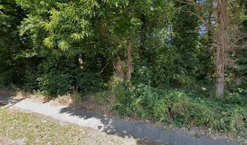 Amherst Wood Open Space