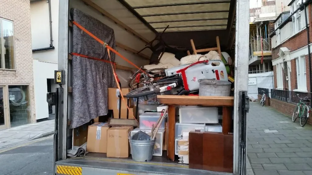 Apple Removals