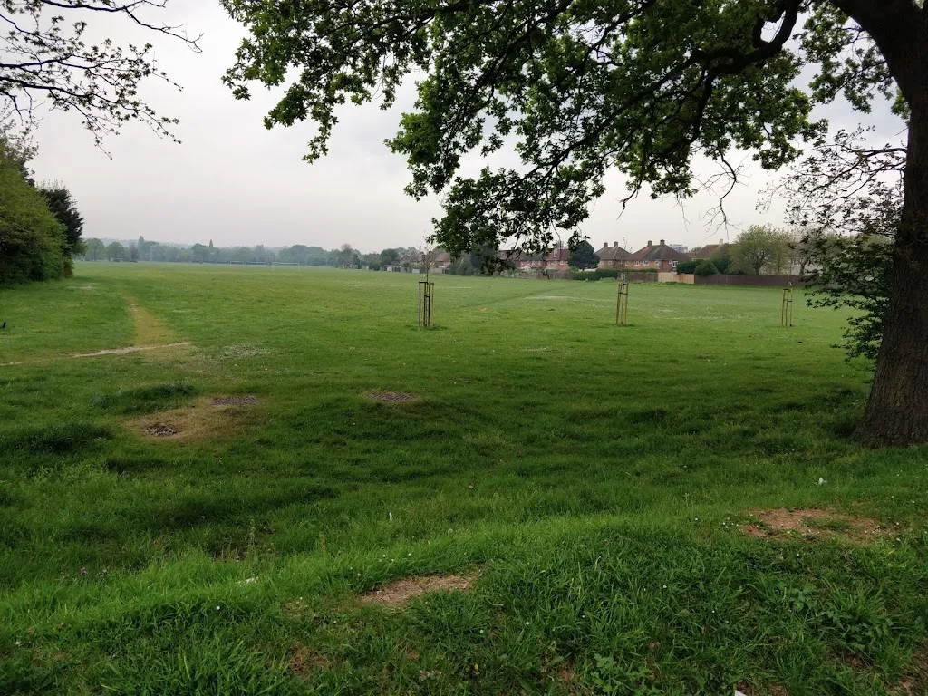 Ashburton Playing Fields