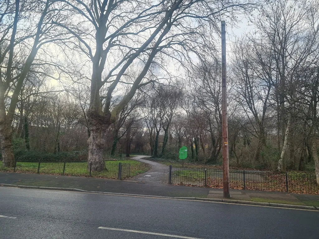 Ashburton Wood