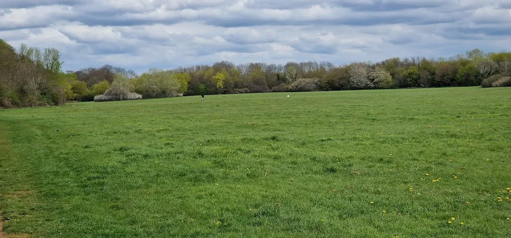 Avenue Park