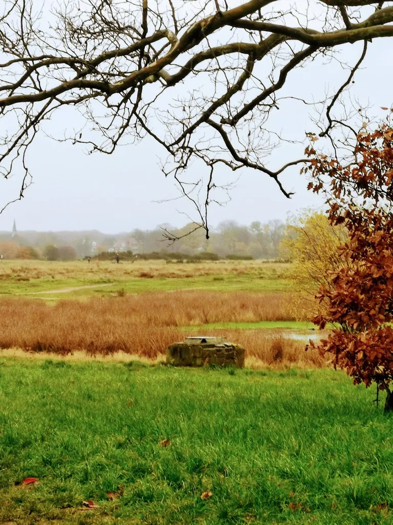 Bandstand Pond