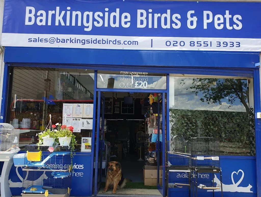Barkingside Birds & Pet Essential Box