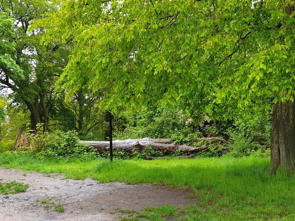 Barn Hill Pond