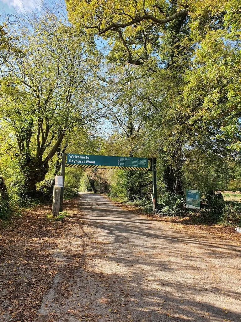 Bayhurst Wood Country Park