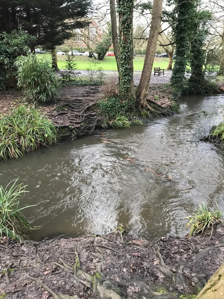 Beck stepping stones