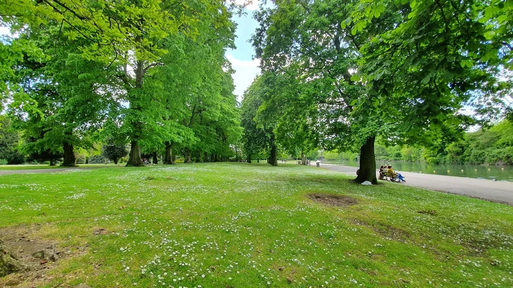 Bench