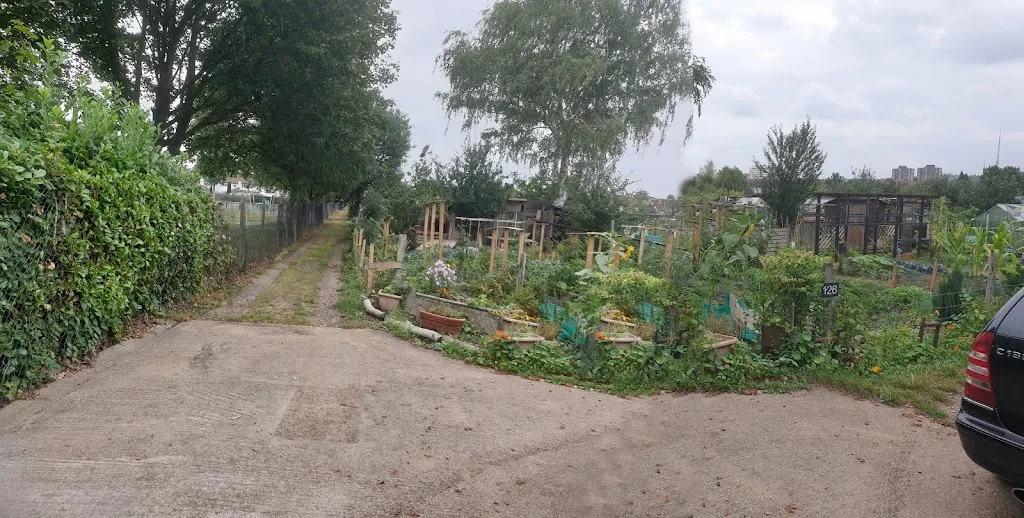 Bensham Manor Allotments