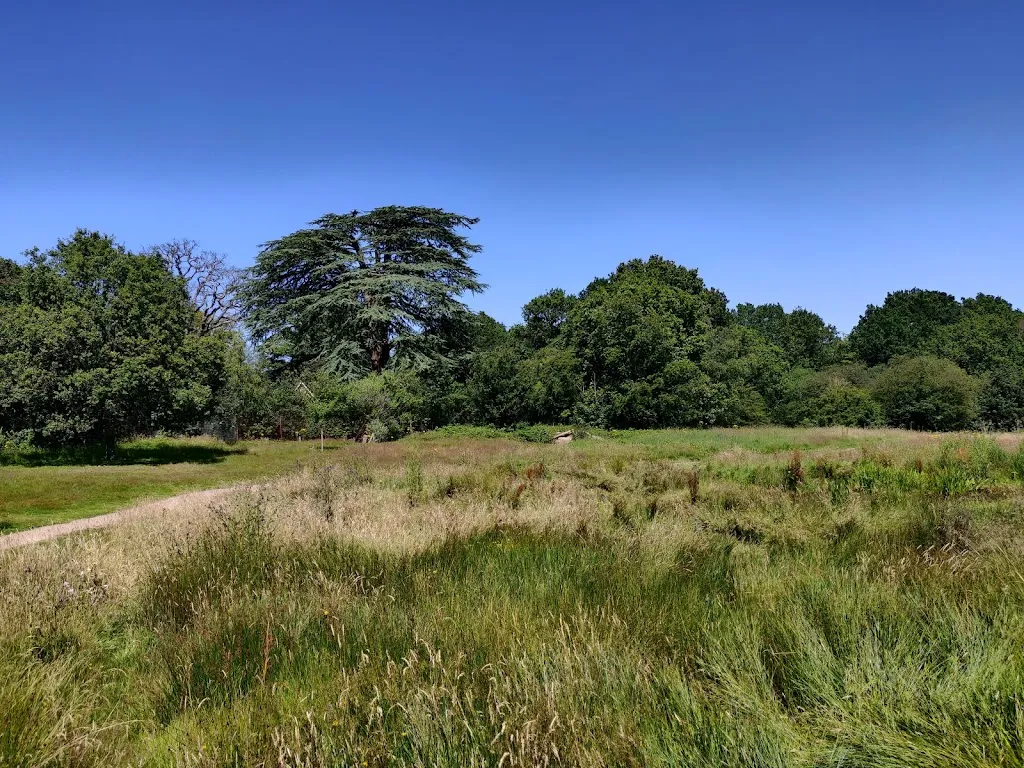 Bentley Priory Nature Reserve
