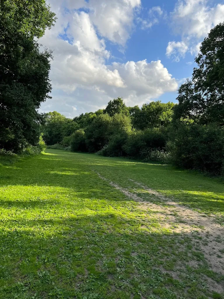 Berrylands Nature Reserve