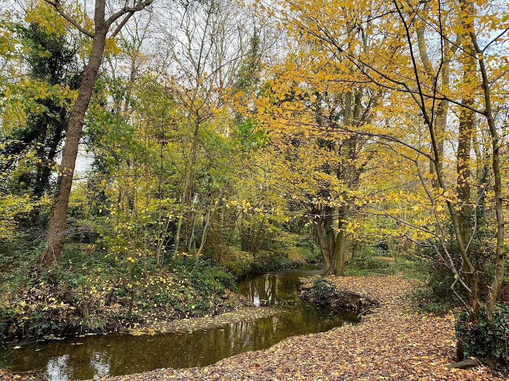 Bexley Woods