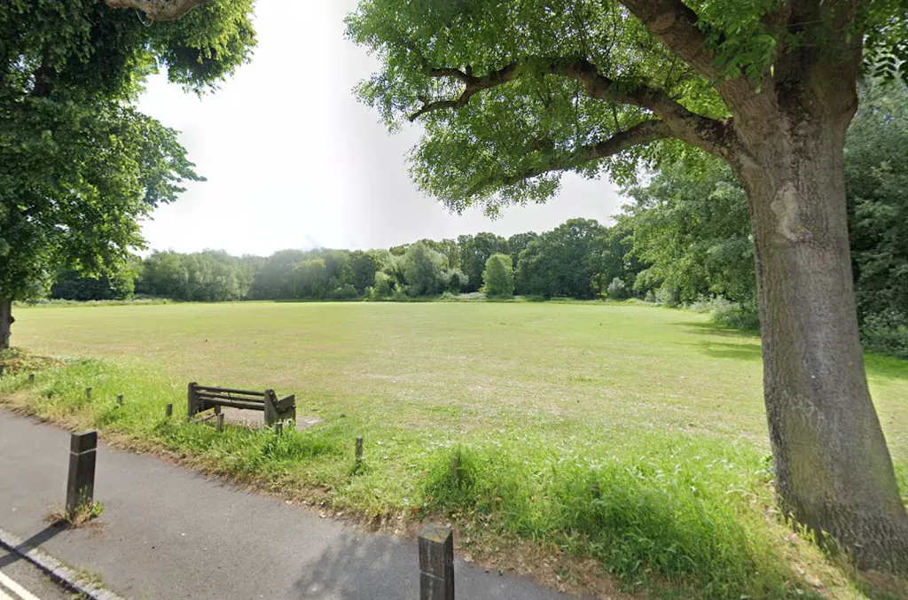 Black Poplar Meadow