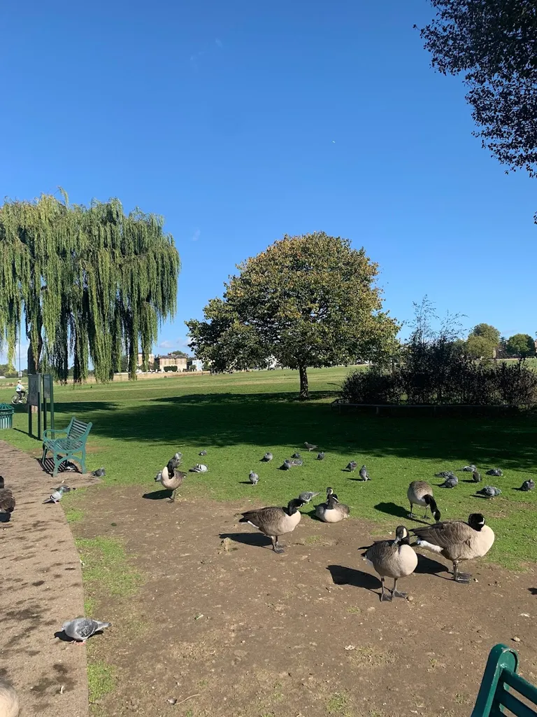 Blackheath Standard