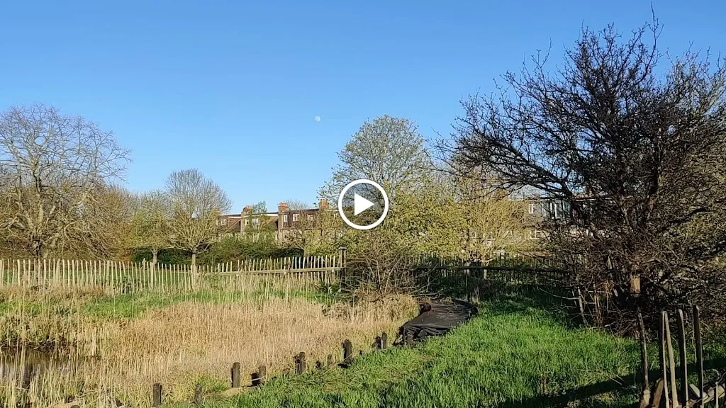 Blondin Park Nature Reserve Pond