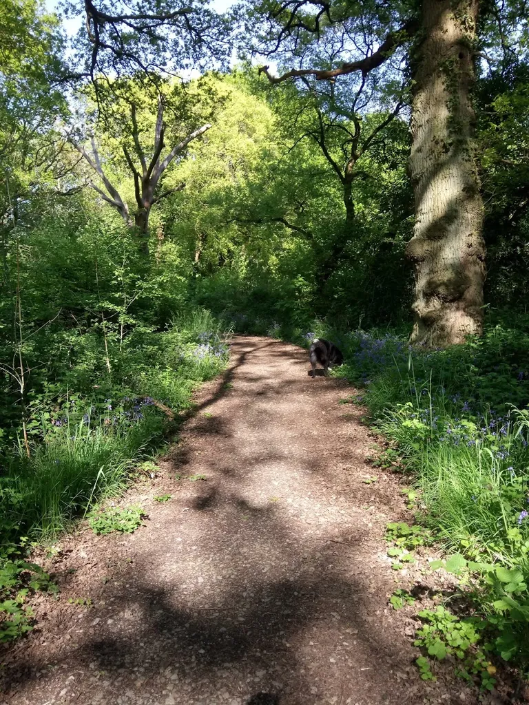Bonesgate Open Space