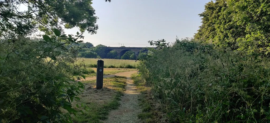 Brent Meadow