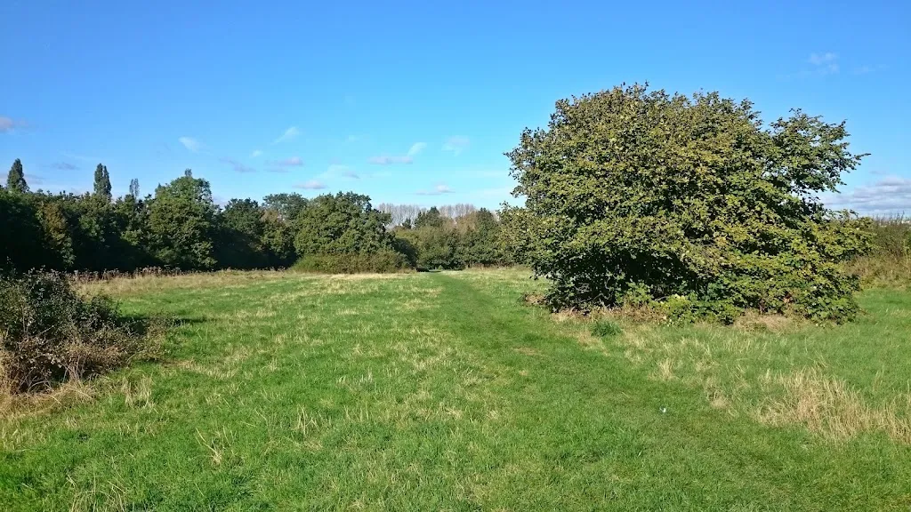 Brentham Meadows