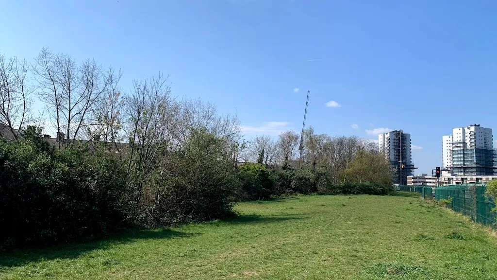 Bridgehouse Nature Area