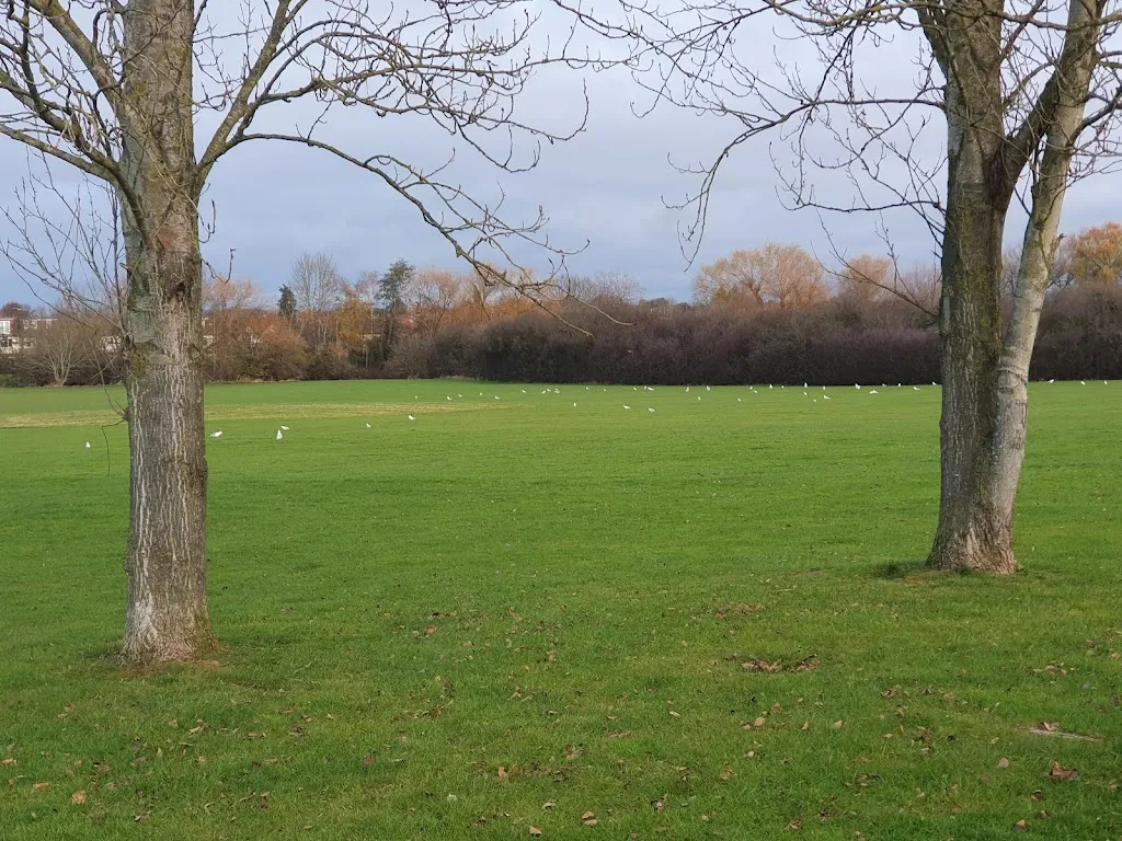 Bridgewater Road Fields
