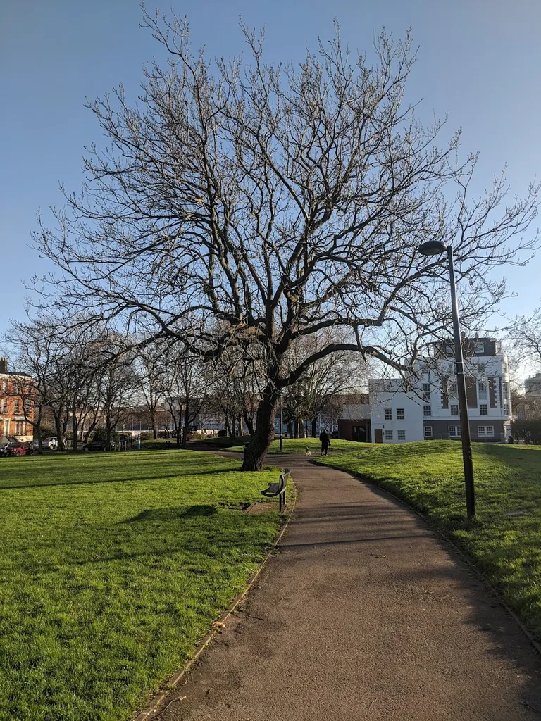 Brimmington Park
