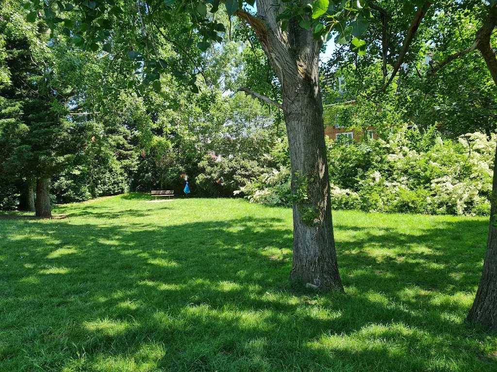 Brondesbury Park Open Space