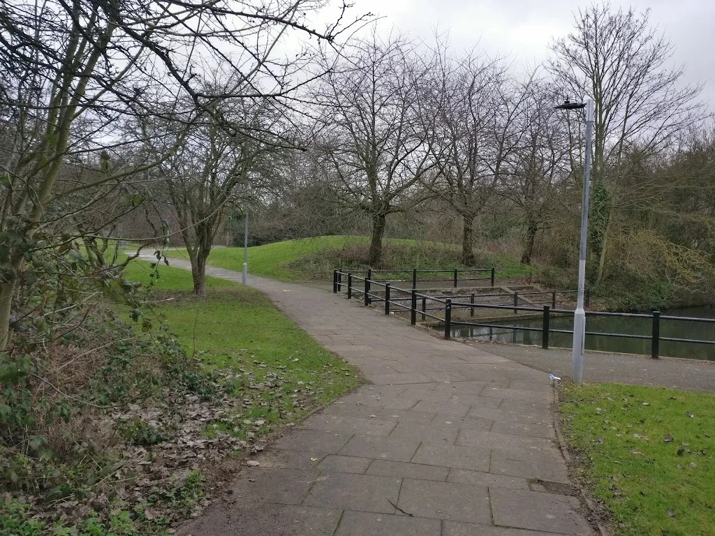 Butts Wood