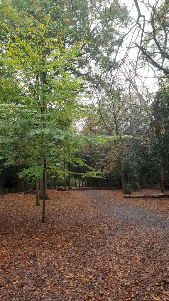 Campden Hill Square