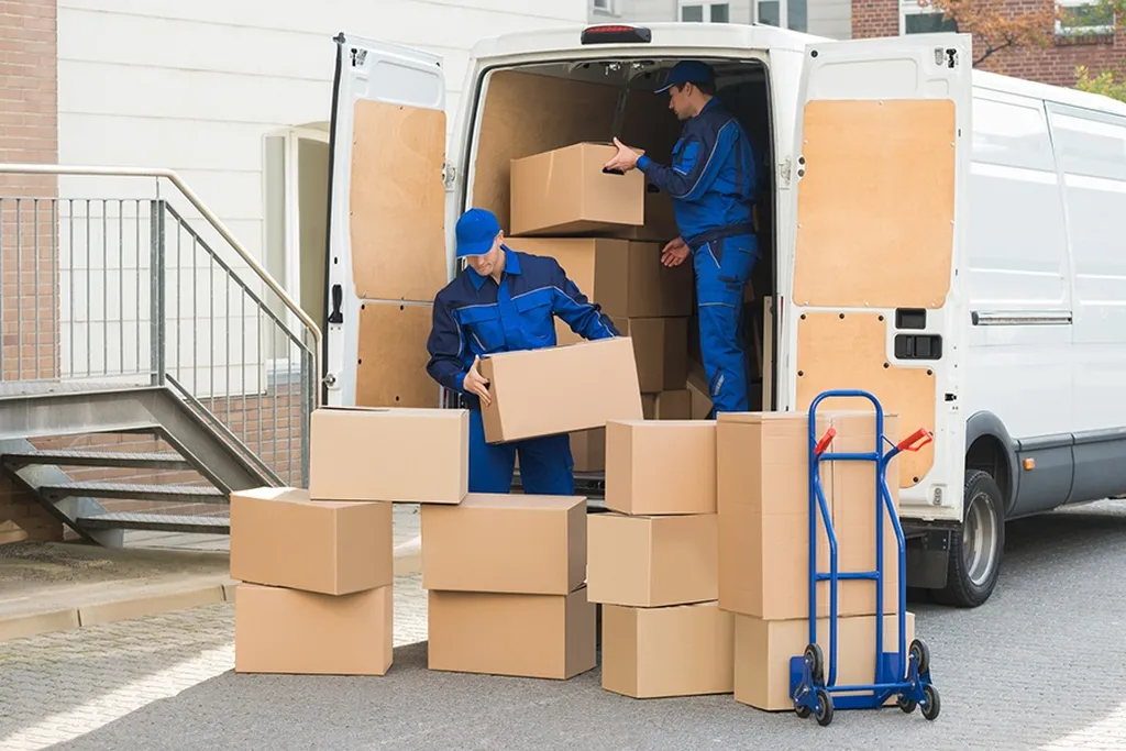 Can do's Removals