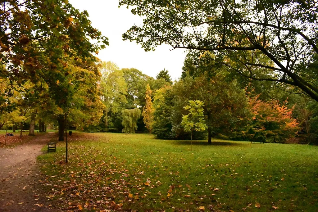 Cannizaro Park