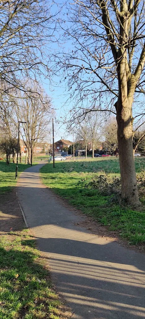 Castle Bar Park