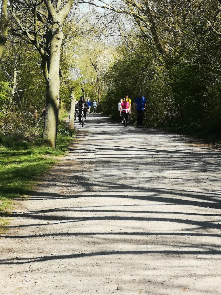 Castle Hill Nature Reserve