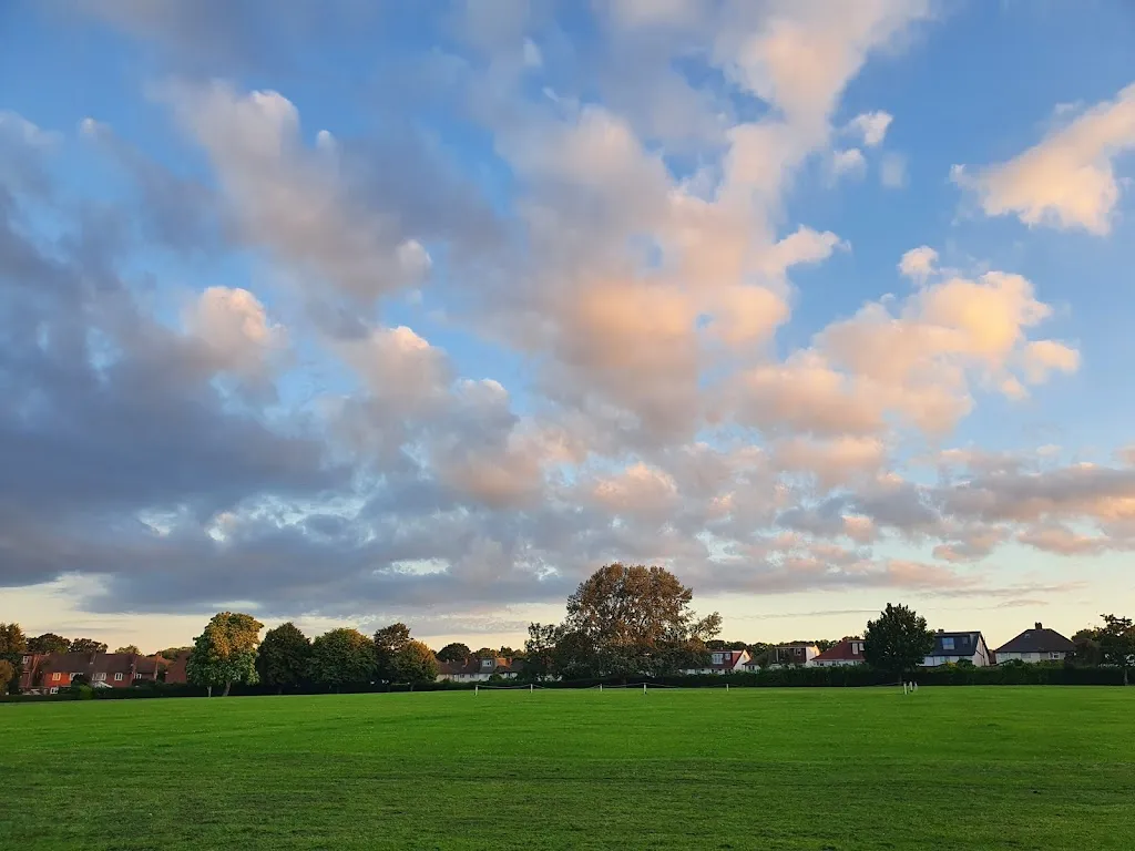 Cavendish Fields