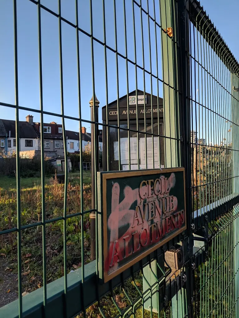 Cecil Avenue Allotments