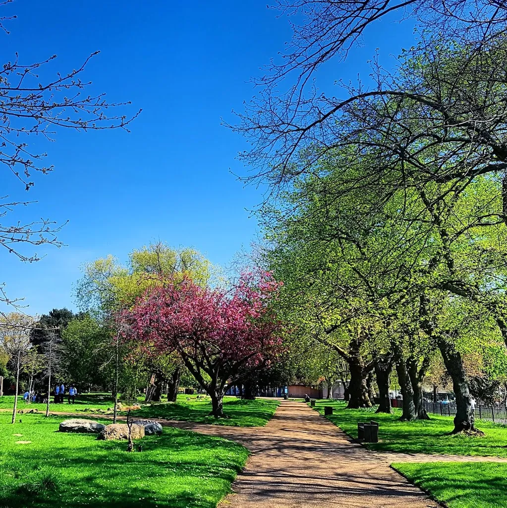 Central Park