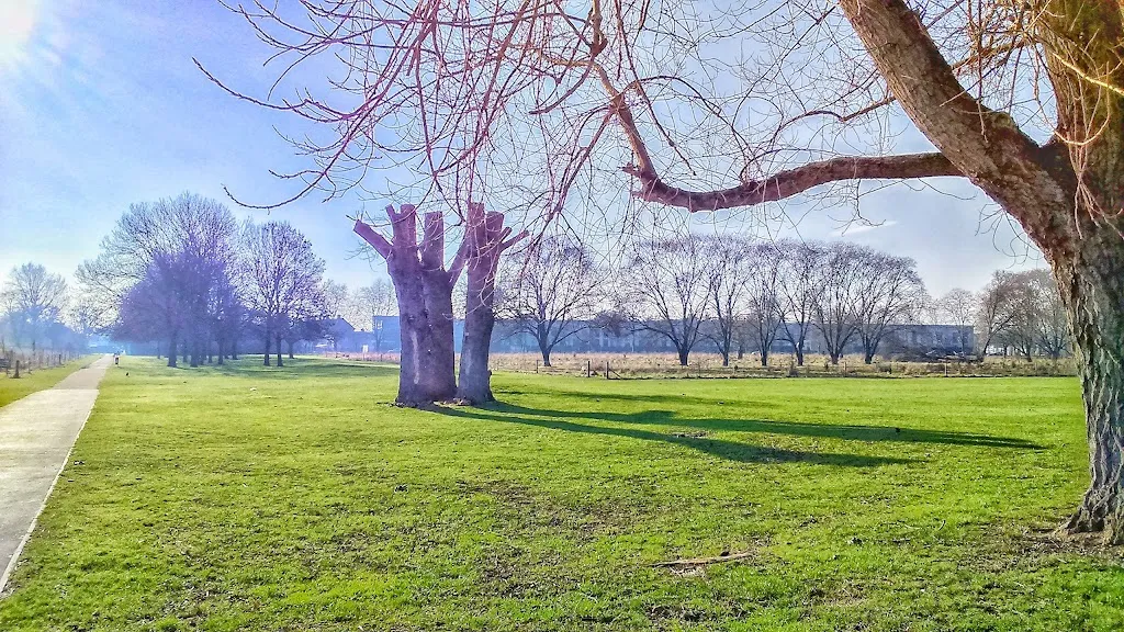 Central Park (Dagenham)
